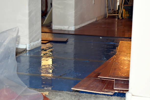 Professional Water Removal technician working in Goodells, MI