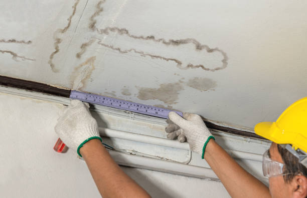 Reliable Water Removal contractor in Goodells, MI by Water Damage Irwin